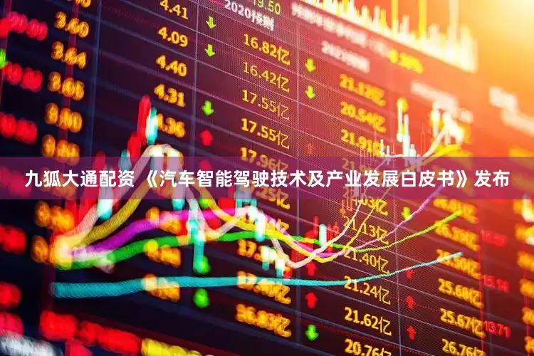 九狐大通配资 《汽车智能驾驶技术及产业发展白皮书》发布